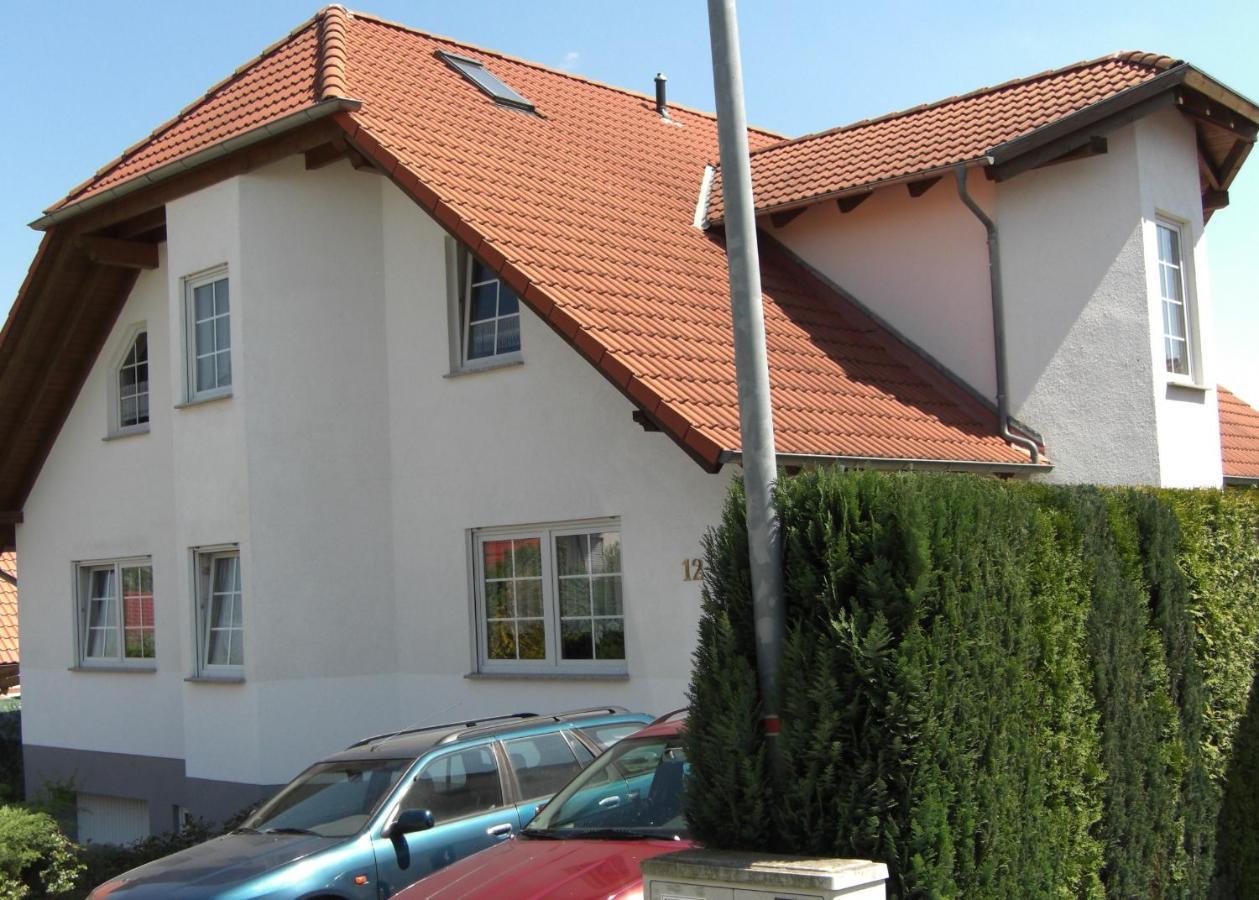 Appartement Am Goldberg Goldbach  Экстерьер фото